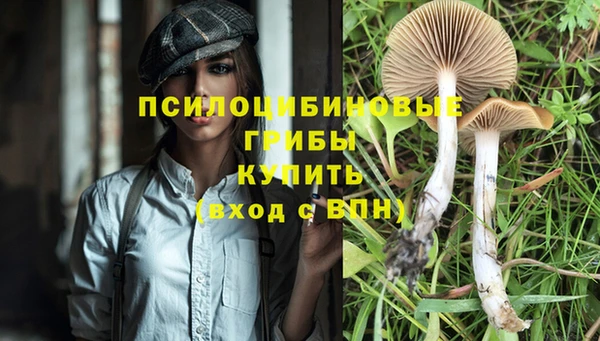 прущий лед Балахна